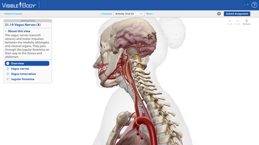 vagus nerves ia