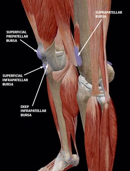 Bursitis: The Fallen Heroes Of Joint Mobility