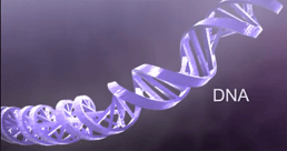 dna-double-helix-structure