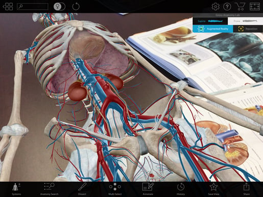 Virtual Reality Tools Applied to the Male Urinary System