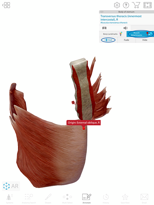 Roblox head for muscle body : r/Layer