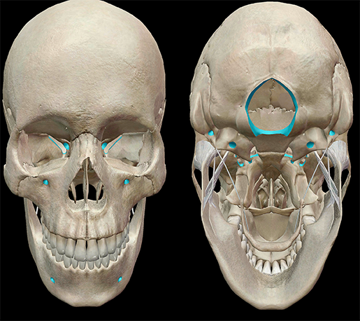 Inside Skull and Bones, Last Look
