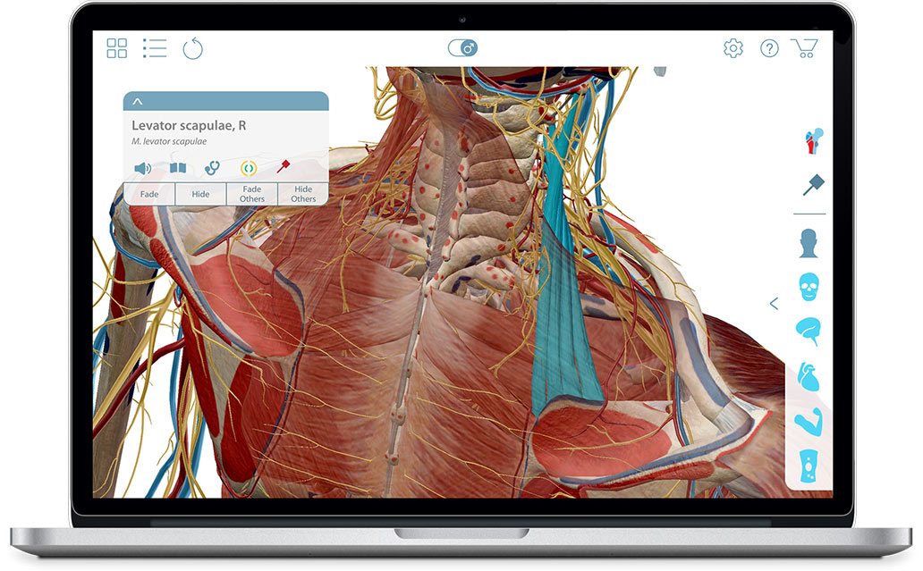 visible body human anatomy atlas for pc
