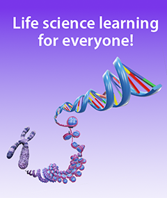 3d rendering of a DNA strand with the words "Life science learning for everyone"