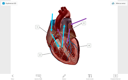 Atlas 2022 + comprend notre nouvelle fonction flashcards! 