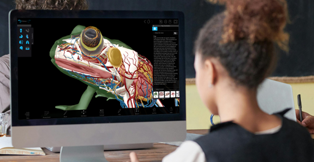 Student in a classroom looking at a computer showing a frog dissection in Visible Body