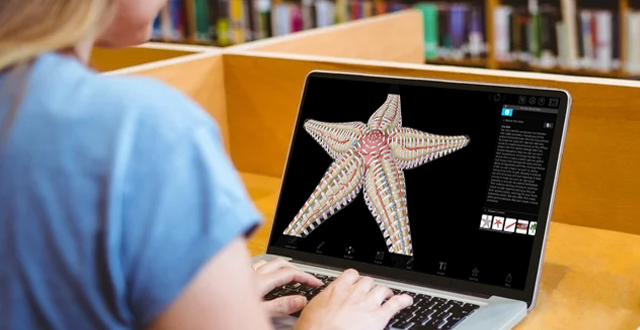 Student at a desk looking at a laptop showing Visible Body's 3d sea star model