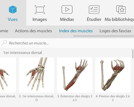 Prévisualisation du contenu